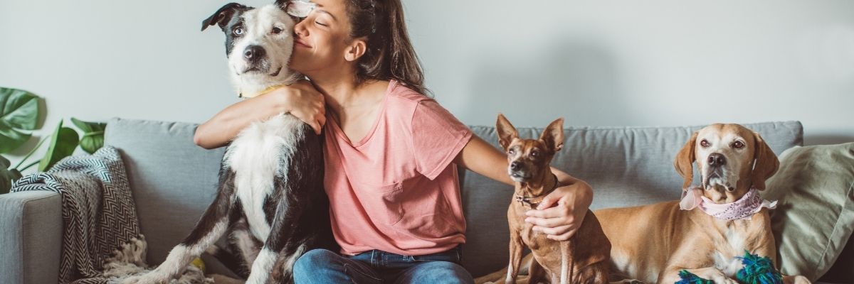 Evcil Hayvanla Tatil